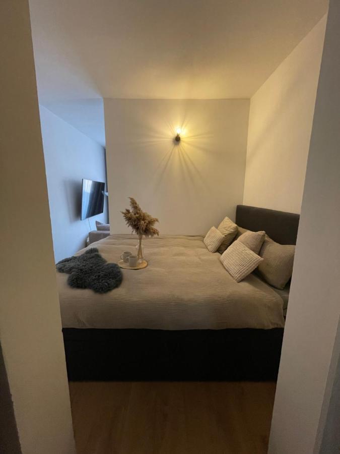 Tara Apartment Karlovy Vary Dış mekan fotoğraf